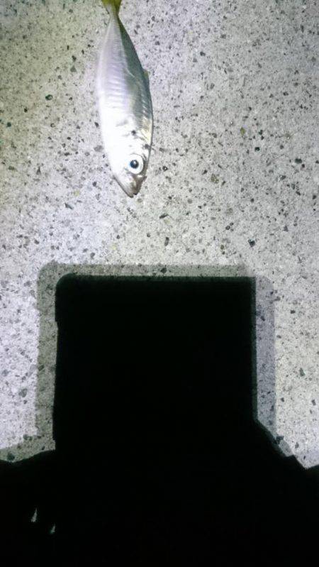 ネバリとガンバリ