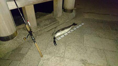 なんとか一匹ゲット