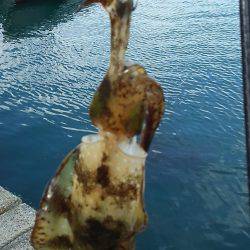 爆風もあって渋い！