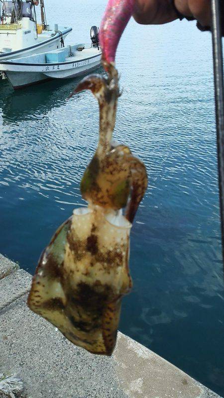 爆風もあって渋い！