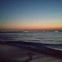 スピンテールでカレイ