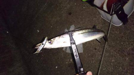 今どきカマシング