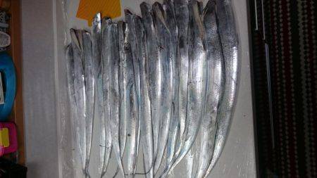 タチウオ爆釣①