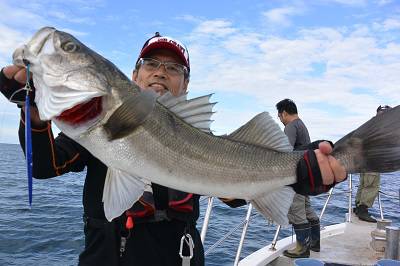 アルバトロスで爆釣❗