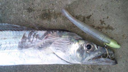タチウオ釣り