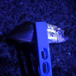 夜中のサビキ　連続釣行