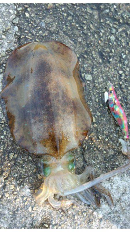 トリプルヒット