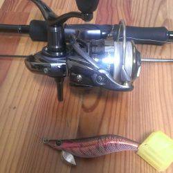 久々に釣れました。