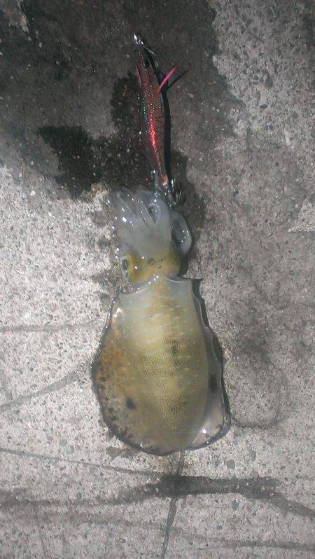 ２杯釣れました。