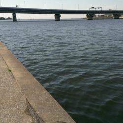 武庫川も淀川も