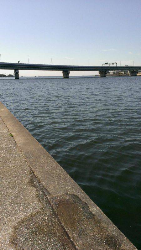 武庫川も淀川も