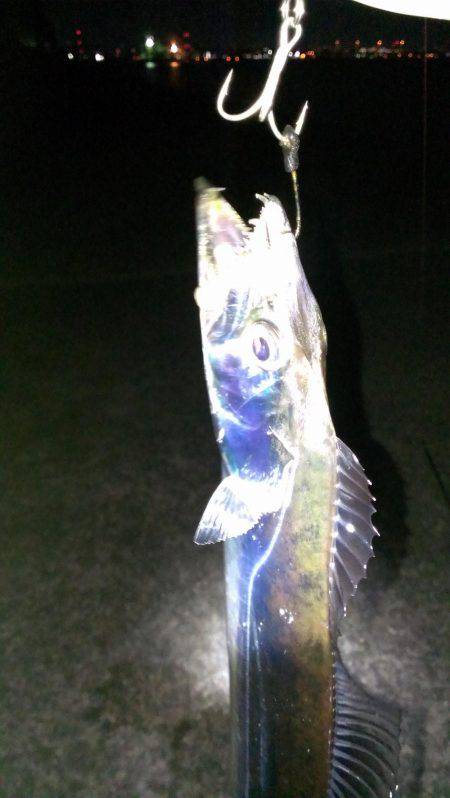 なんとか今季一本目