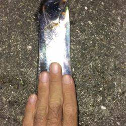 一本だけですが