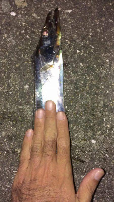 一本だけですが