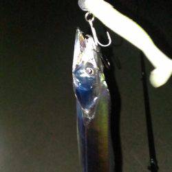 太刀？脇差だな