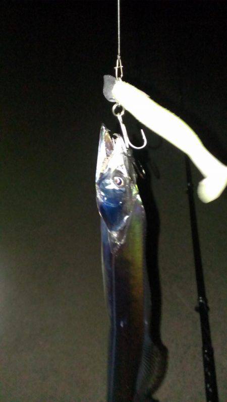 太刀？脇差だな