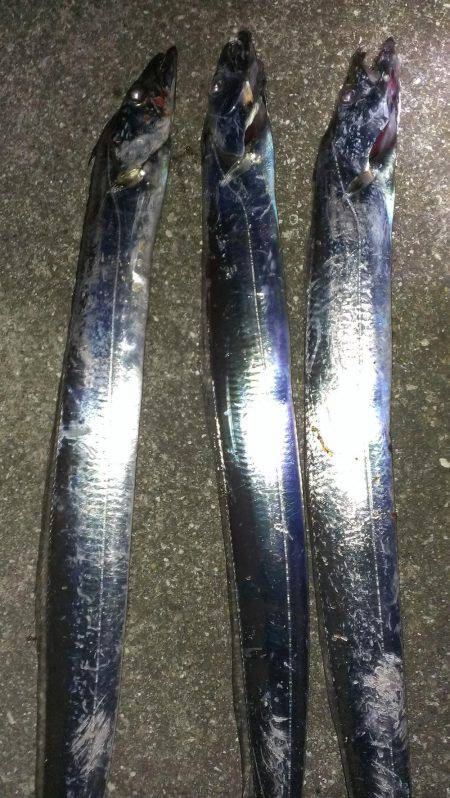 鉄板系反応せず