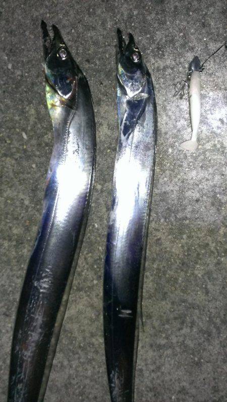 ショートバイトに泣く