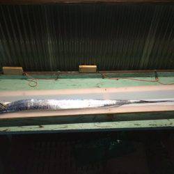 初釣法で初メーター