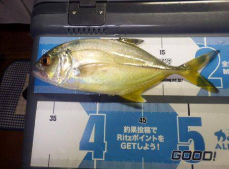 久しぶりのメッキ調査