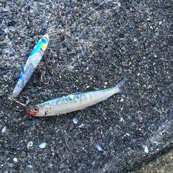 サーベル&ブルー