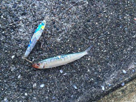 サーベル&ブルー