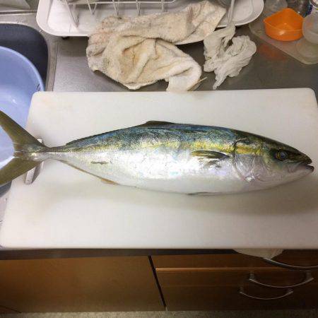 レンタルボート釣行