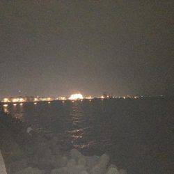 3週間ぶりに、タチウオ見れた。