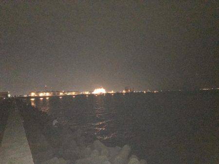 3週間ぶりに、タチウオ見れた。