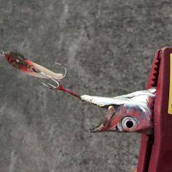 FLAPヘッド握りしめて！