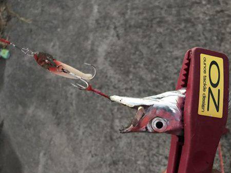 FLAPヘッド握りしめて！