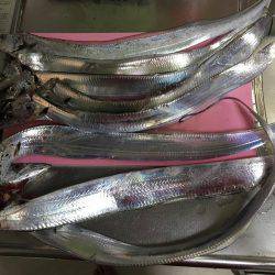 指4本半含む計8本