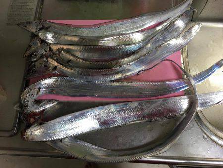 指4本半含む計8本