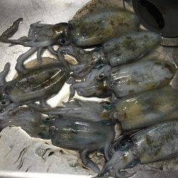 我慢できなくて、、