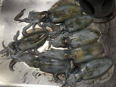 我慢できなくて、、