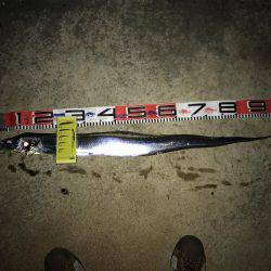 FLAP釣法炸裂で今季最大!