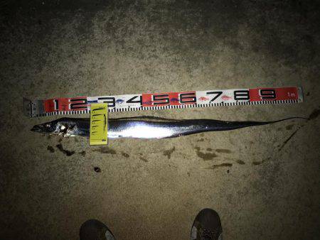 FLAP釣法炸裂で今季最大!