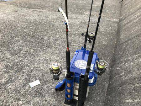 タチウオ祭り、参戦!