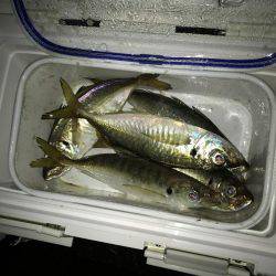 やっとこさですわ！