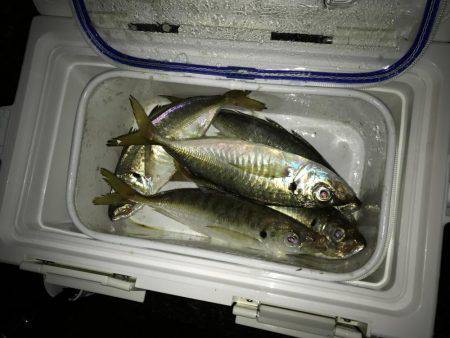 やっとこさですわ！