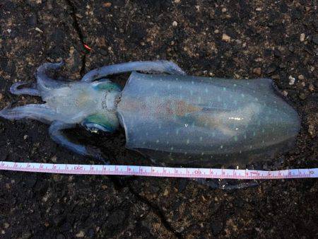 1年振りの丹後半島