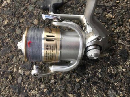 ファミリーサビキ