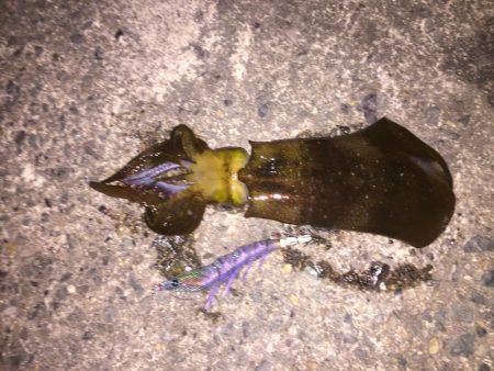 久しぶりの遠征