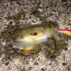 3カ月ぶりの釣り