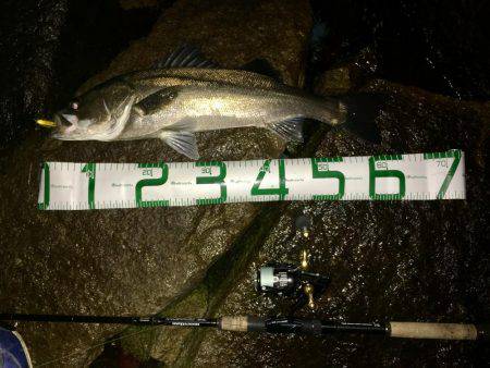 秋本番のナイトゲーム