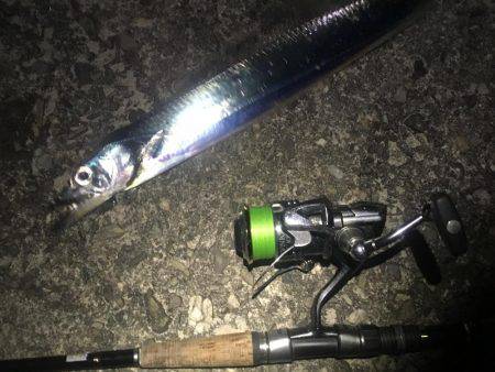 ダラダラ釣れ続けます❗️