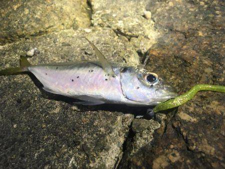 意外とシブかった(･･;)