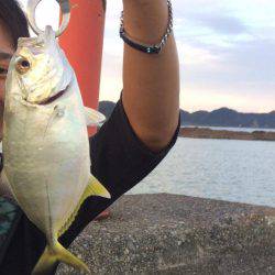 雨後のライトゲーム