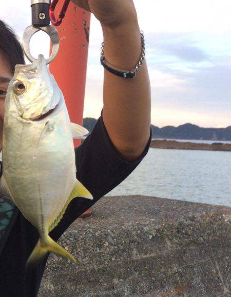 雨後のライトゲーム