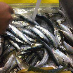 デカサバゲット！